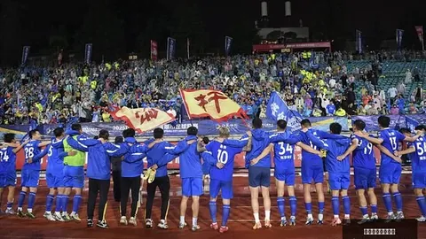 意甲焦点战：阿兹蒙首球助罗马逆转，卢卡库制胜一击莱切1-2败北